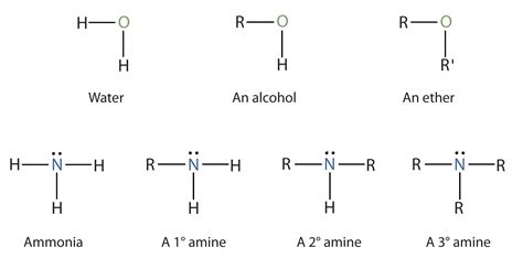 amines structures  names