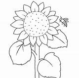 Sonnenblume Malvorlage Malvorlagen Sonnenblumen Bauernhof Basteln Malen Grundschule Schule Sie Fingerspiel Lernen Pflanzen Fensterbilder Kita sketch template