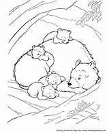 Coloring Bear Pages Animals Sleeping Hibernating Animal Little Printable Drawing Tundra Brown Color Big Kids Woods Smokey House Cave Den sketch template