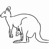 Kangaroo Coloring Pages Outline Svg Clipart Joey Cute Printable Kangaroos 1024 Web Ones Little Px Clip sketch template