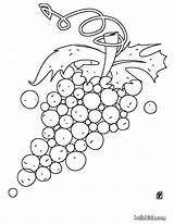 Ausmalen Trauben Weintrauben Uvas Grapes Hellokids Frutas sketch template