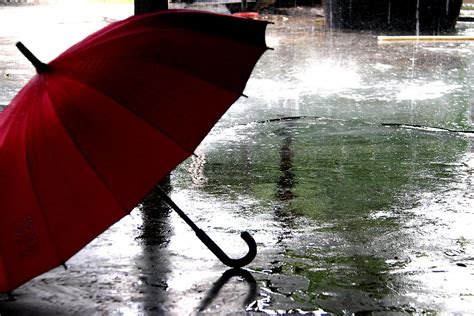 umbrella  rain photograph  dean moriarty