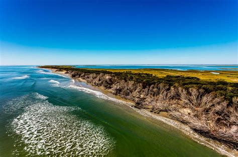 virginia coast reserve lter lter