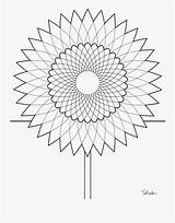 Fibonacci Sunflower Clipartkey sketch template