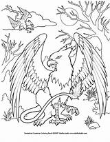 Coloring Pages Griffin Mystical Creatures Printable Baby Dragon Deviantart Dragons Mythical Color Kids Unicorn Animal Adult Mermaid Gryphon Griffins Coloriage sketch template