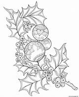 Coloring Adults Christmas Pages Baubles Holly Printable Branch Print Book sketch template