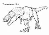 Rex Coloring Skeleton Color Getcolorings Tyrannosaurus sketch template