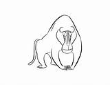 Coloring Pages Baboon Print Coloringtop sketch template