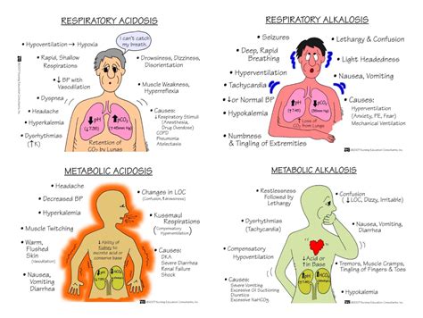 respiratory metabolic acidosis vs alkalosis nursing school survival