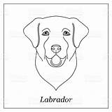 Lab Face Coloring Template Pages sketch template