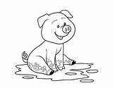 Mud Pig Coloring Clipart Pages Pigs Template Splash Coloringcrew Clipground sketch template