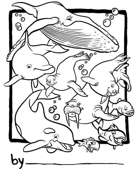 sea life coloring pages    print