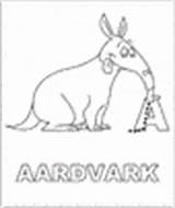 Coloring Aardvark Pages Animal sketch template