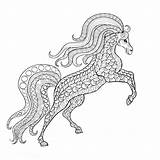 Paard Paarden Volwassenen Volwassen Dieren Tekeningen Steigeren Steigerend Leuk U2013 Terborg600 Moeilijk Uitprinten Downloaden Leukvoorkids sketch template