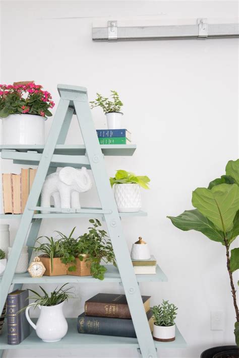 create  diy ladder shelf hgtv