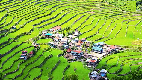 Banaue Rice Terrace The Filipino Eighth Wonder Of The World The