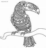 Mandala Toucan Coloring Animal Pages Animals Colored sketch template