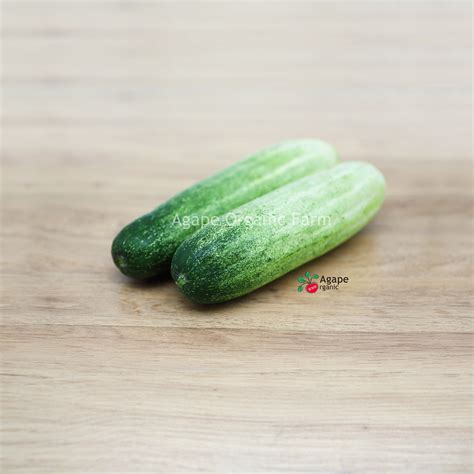 cucumber agape organic
