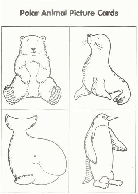 printable arctic animals coloring pages coloring home