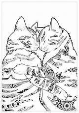 Chats Gatti Coloriage Adults Katzen Coloriages Adulti Colorier Gatos Chaton Justcolor Malbuch Erwachsene Pauline Petit Adultes Kitten Mignons Playing Difficiles sketch template
