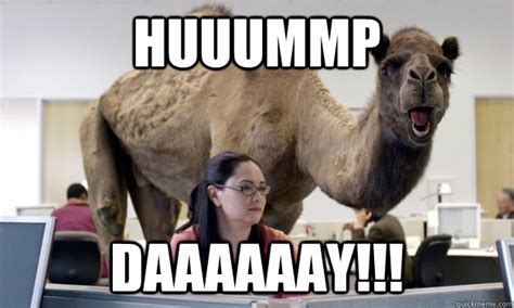 Mike Mike Mike Happy Birthday Hump Day Camel Quickmeme
