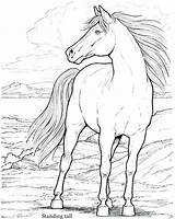 Mustang Coloring Horse Pages Realistic Printable Marvellous Color Getcolorings Stallion Getdrawings sketch template