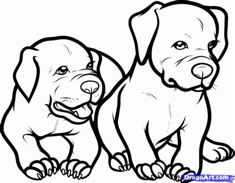 baby pitbull coloring pages baby puppy coloring pages