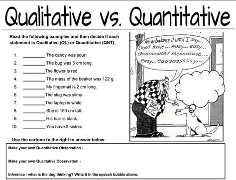 quantitative  qualitative observations worksheet
