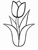 Tulipa Bonita Colorir Tudodesenhos sketch template