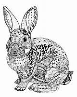 Zentangle Zentangles Rabbit sketch template