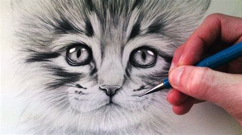 draw  kitten youtube pencildrawing cat face drawing
