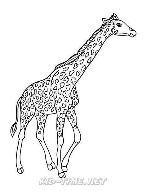 giraffe coloring pages  kids time fun places  visit