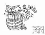 Embroidery Basket Patterns Fruit Hand Blackberries Baskets Fruits Read Choose Board Knots French sketch template