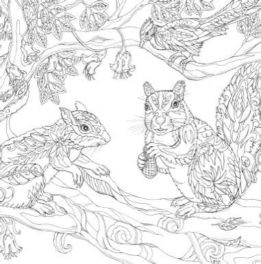 uncolored detailed coloring pages drawings coloring pages