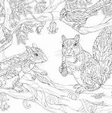 Coloring Pages Uncolored Squirrel Detailed sketch template