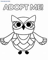 Owl Pets Imprima Sasquatch Gratuitamente Jogos sketch template