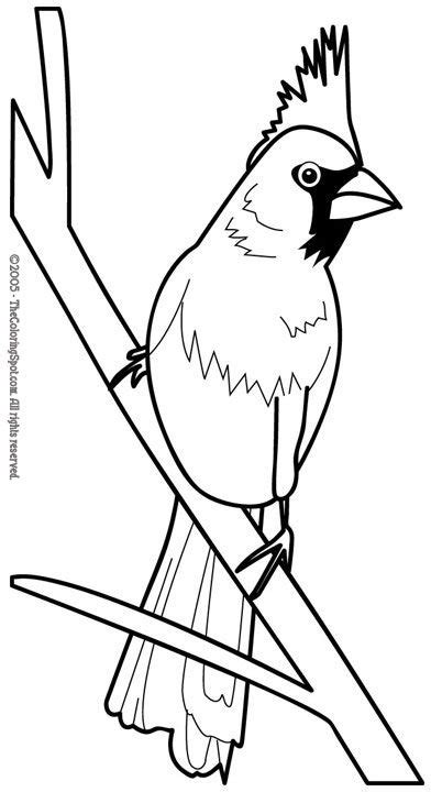 pin  deborah sparks  birds coloring pages coloring books