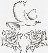 Dove Tattoo Roses Designs Rose Tattoos Deviantart Flying Ie Small Favorite Over Wallpaper sketch template