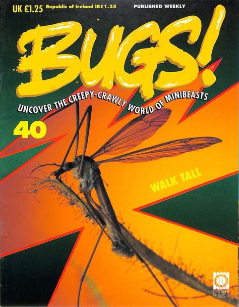 bugs issue  page  bugs tortoise beetle bugs minibeasts