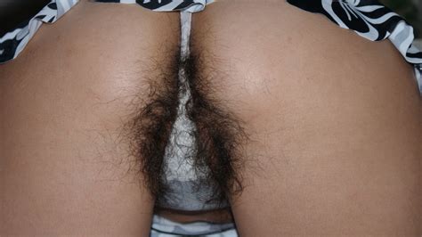 hairy porn pic some guys gf with thick hairy crotch