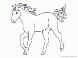 Pferde Ausdrucken Pferd Ausmalen Ausmalbild Assurance Pferdebilder Coloringhome sketch template
