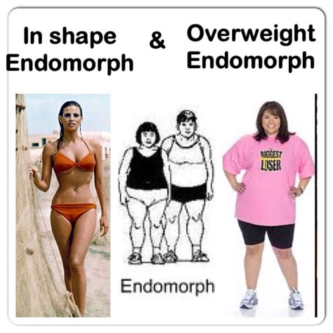 How To Eat For Endomorph Body Type Paleo Power Challenge 90
