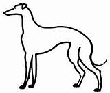 Greyhound Levriero Line Levrieri Artsy Fosters Levrier Clipartmag sketch template