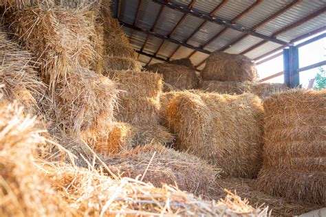 rules  proper hay storage