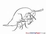 Coloring Ant Kids Sheet Title sketch template