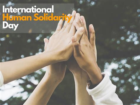 International Human Solidarity Day Quotes International Human