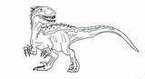 Indoraptor Ny19 sketch template