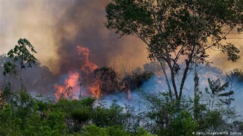 Selain Amazon Dan Ri Kebakaran Hutan Juga Terjadi Di 7