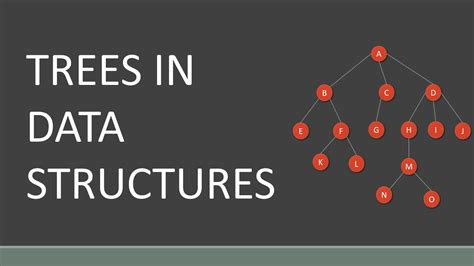 tree data structure application  tree data structure youtube