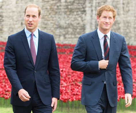 prince harry  prince william   fine  reports   drifting